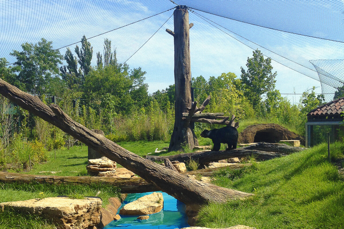 Andean Bear Enclosure