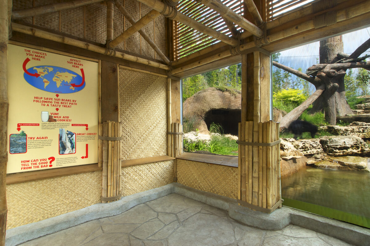 Sun Bear Exhibit Viewing Area